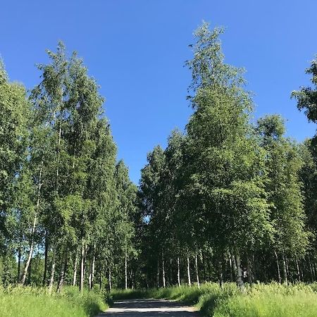 Stort Hus I Porsgrunn Sentrum Med Gangavstand Til "Alt" & Gratis Parkering Til Flere Biler المظهر الخارجي الصورة