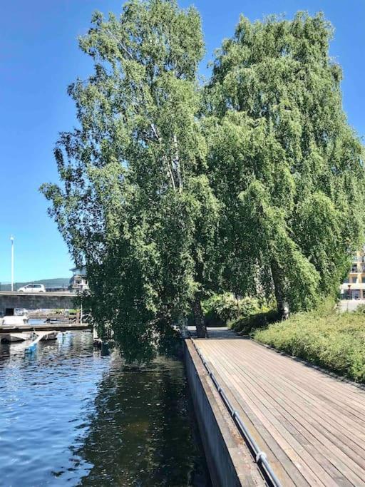 Stort Hus I Porsgrunn Sentrum Med Gangavstand Til "Alt" & Gratis Parkering Til Flere Biler المظهر الخارجي الصورة