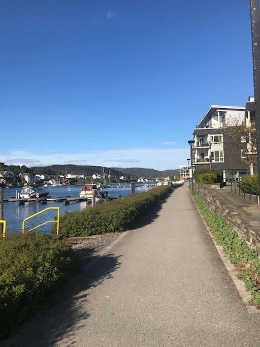 Stort Hus I Porsgrunn Sentrum Med Gangavstand Til "Alt" & Gratis Parkering Til Flere Biler المظهر الخارجي الصورة